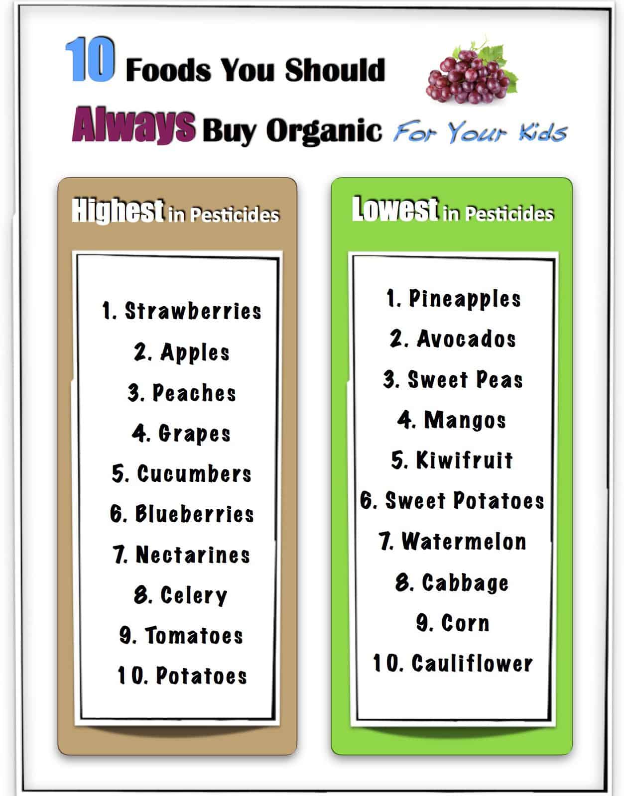 organic food list
