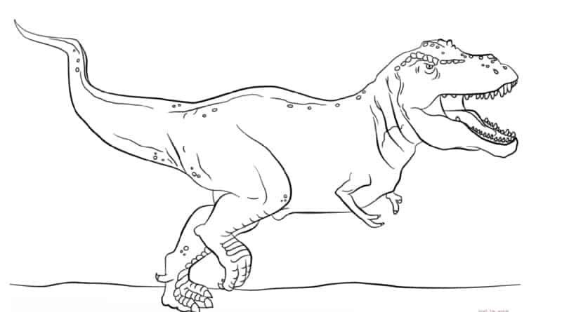 T-Rex Coloring page | Keep Toddlers Busy