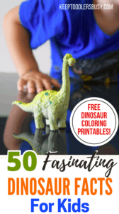 This is the Absolute BEST List of Dinosaur Facts for Kids! These are fun and interesting facts for kids of all ages all about the world that is dinosaurs.