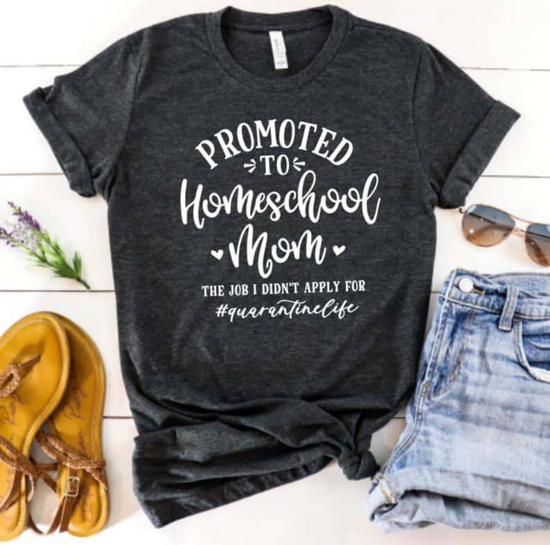 https://keeptoddlersbusy.com/wp-content/uploads/2020/08/Promoted-to-homeschool-mom-tshirt.jpg