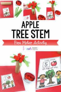 Apple-Tree-STEM