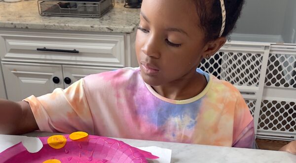preschool PAPER plate crafts
