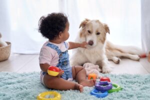 Dog and Toddler Safety