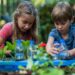 kids planting flower window boxes